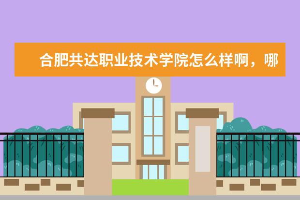 合肥共达职业技术学院怎么样啊，哪个技术学校比好，我要真实的